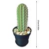 Funny Toothpick Dispenser 117 Holes Easy Access Toothpick Holder Dispenser for People Who Can't Keep Plants Alive Decor