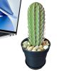 Funny Toothpick Dispenser 117 Holes Easy Access Toothpick Holder Dispenser for People Who Can't Keep Plants Alive Decor